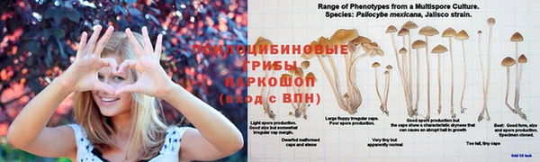 MDMA Premium VHQ Алексеевка
