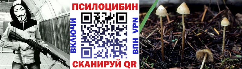 Галлюциногенные грибы Magic Shrooms  Калтан 